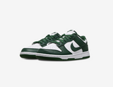 Nike New Dunk SB Low Green