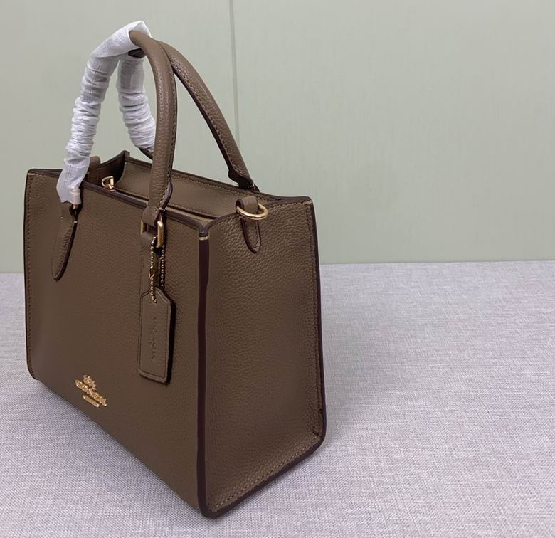 Borsa in pelle Coach handbag taupe