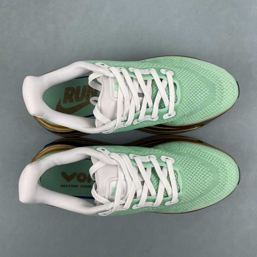 Nike Vomero Premium light green gold