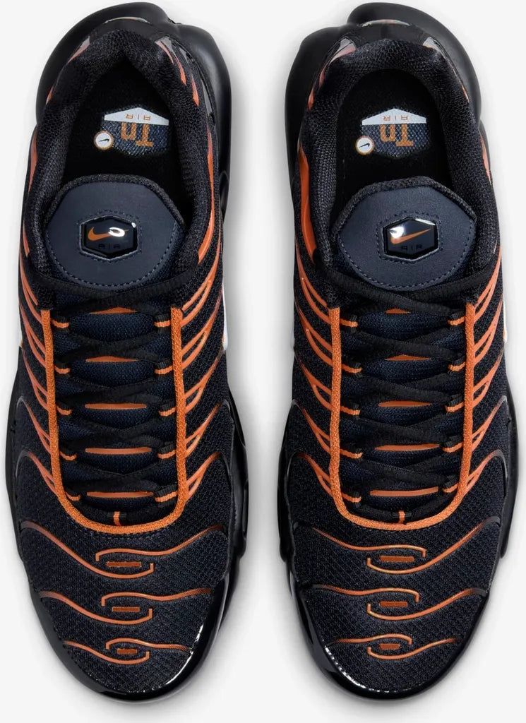Nike Air Max Plus TN Dark Monarch Obsidian