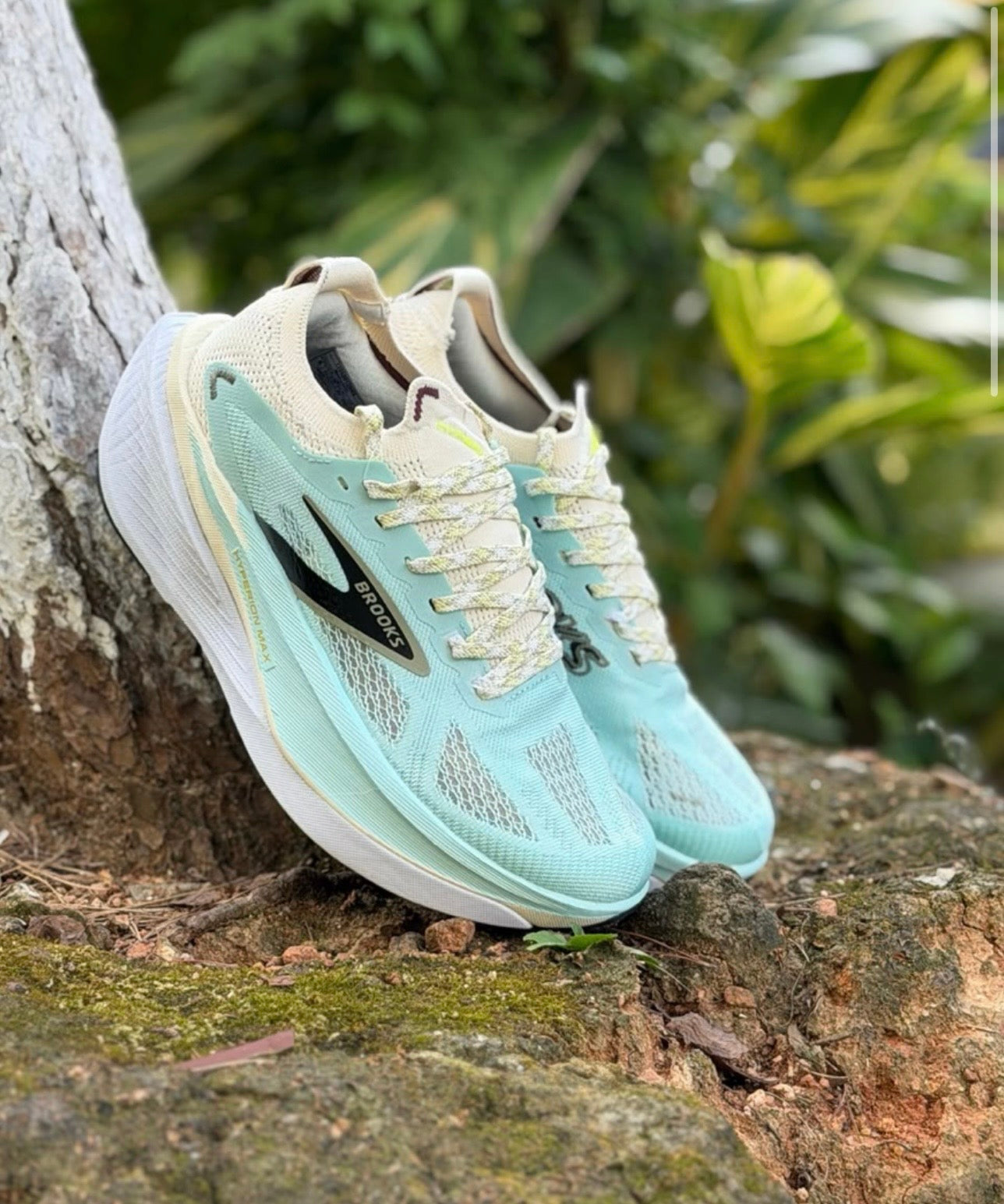 Brooks Hyperion Max 3 Yucca Nightlife