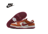 Nike New Dunk SB Low brown