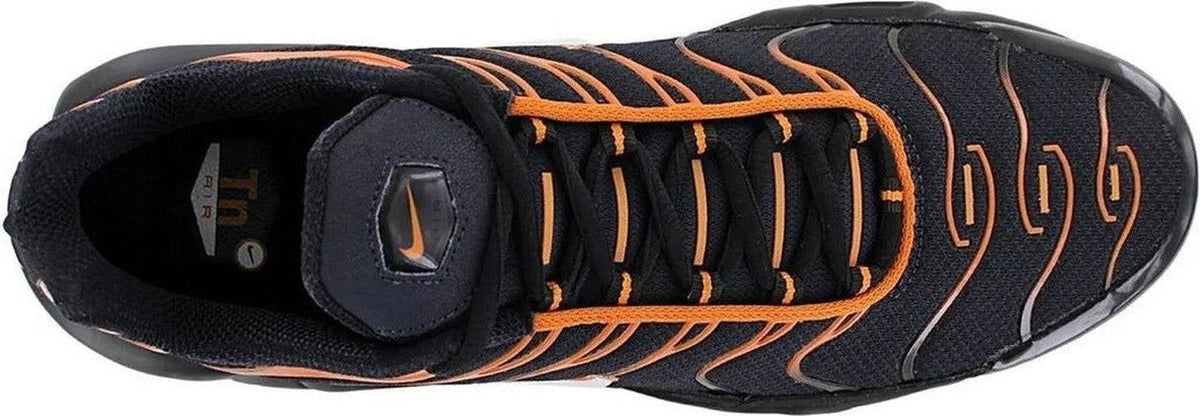 Nike Air Max Plus TN Dark Monarch Obsidian