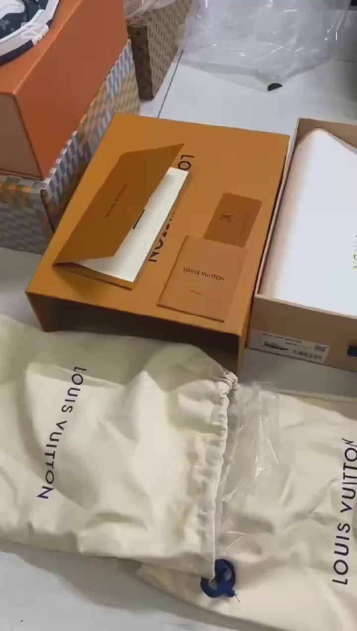 Louis Vuitton Skate Trainer beige sneakers