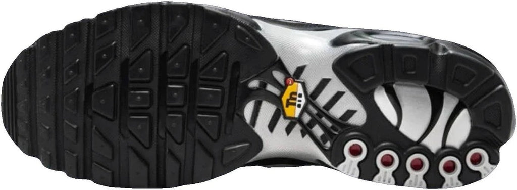 Nike Air Max Plus TN Black Reflective Silver